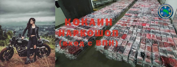 стафф Аркадак
