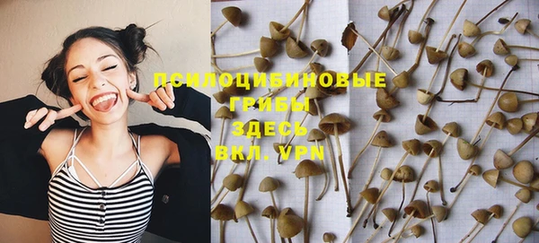 а пвп мука Армянск