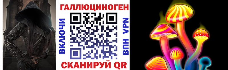 дарнет шоп  Краснослободск  Галлюциногенные грибы GOLDEN TEACHER 